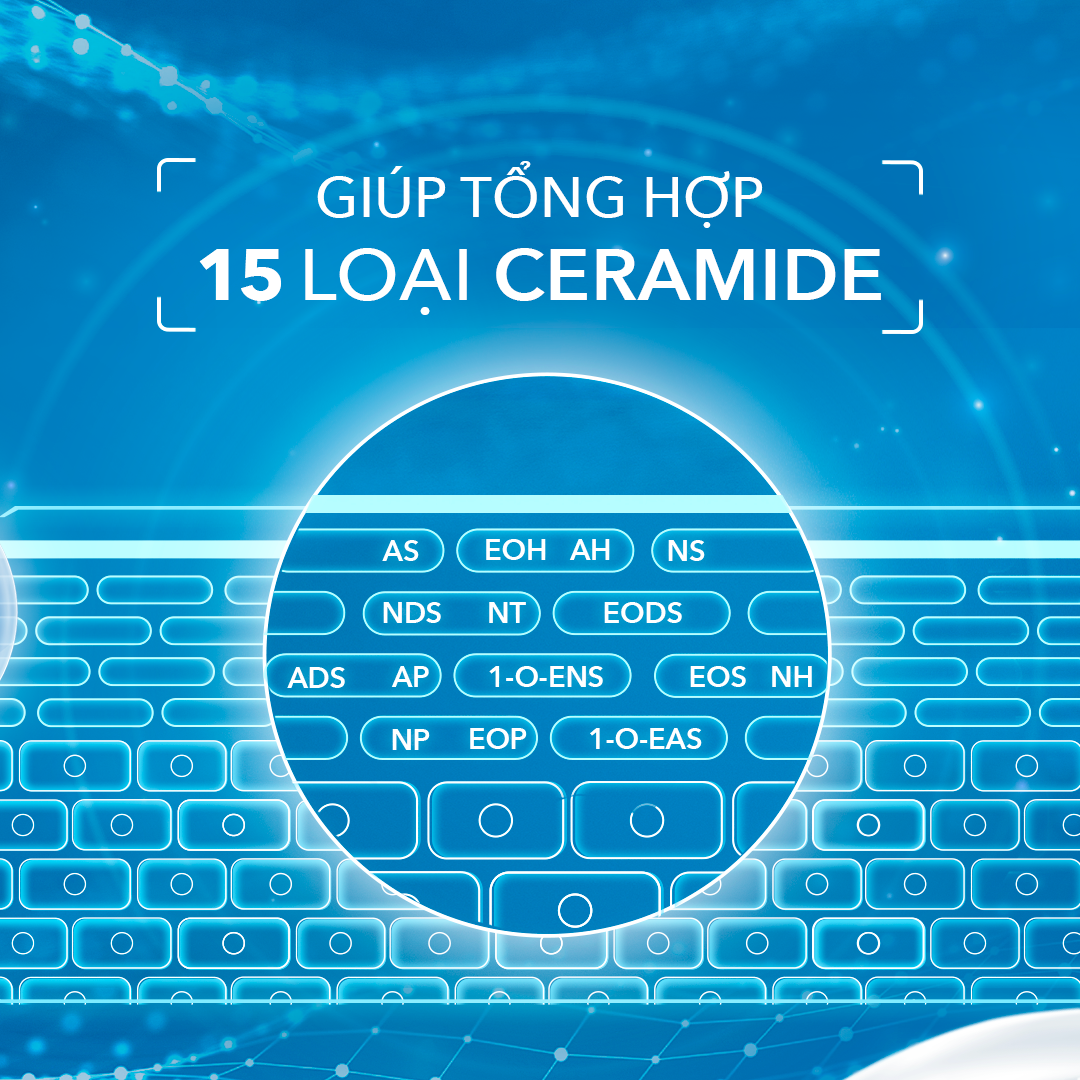 Cetaphil Gentle Skin Cleanser giúp sản sinh ceramide tự nhiên, giúp củng cố hàng rào bảo vệ da